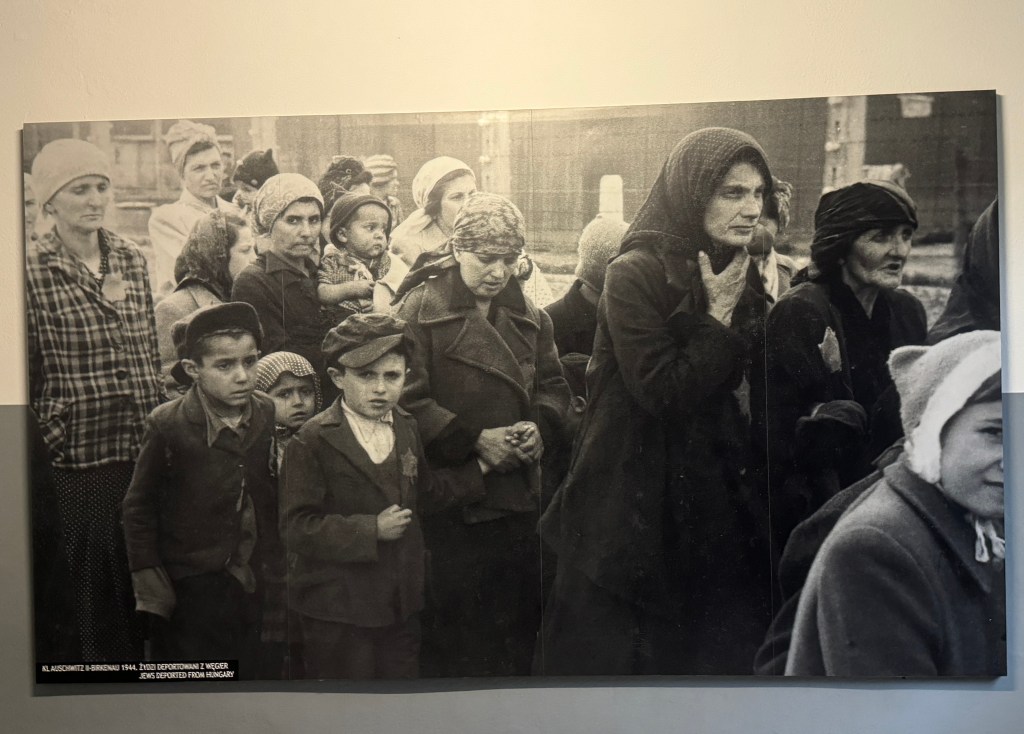 Women and children queuing up to go into the gas chambers. They don't know that this is what they are lining up for